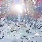 公寓 In Neustift Near Lift