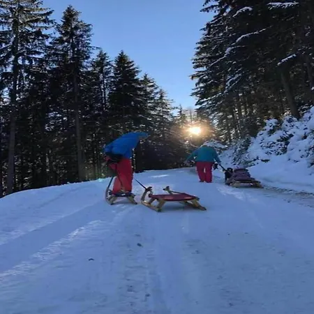 In Neustift Near Lift