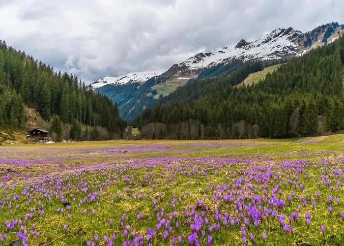 In Neustift Near Lift