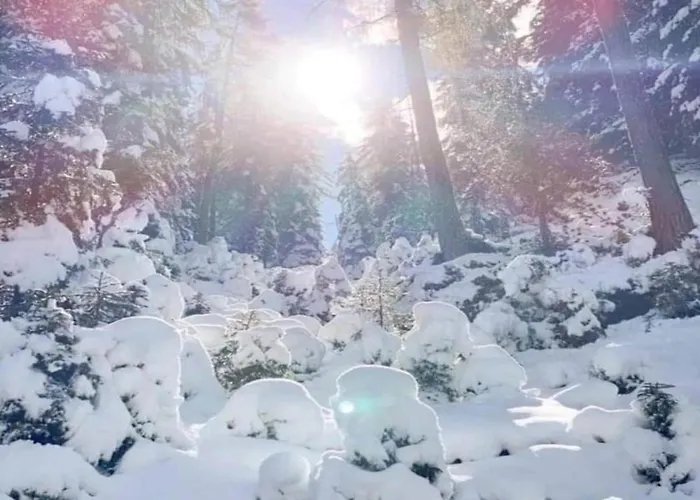 Apartamento In Neustift Near Lift